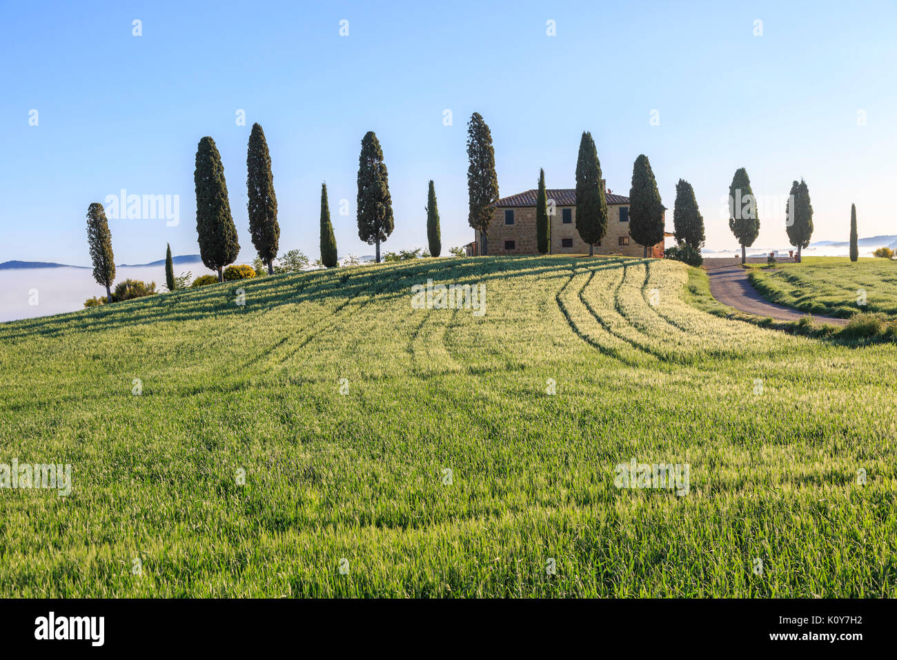 I Cipressini, Pienza, Tuscany, Italy Stock Photo - Alamy