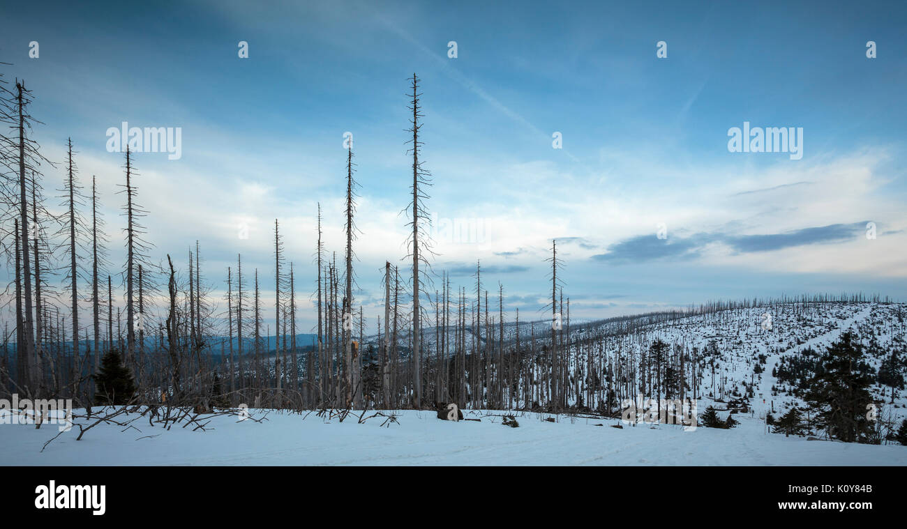 Winter landscape at Dreisessel, Haidmühle, Bavarian Forest, Niederbayern, Bavaria, Germany Stock Photo