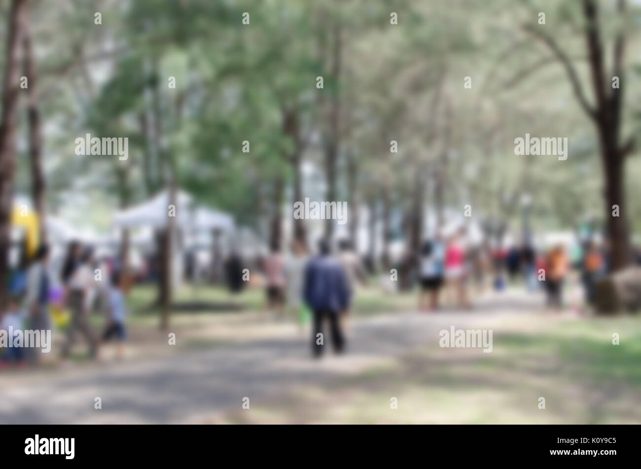 blurred background of green park in summer Stock Photo - Alamy