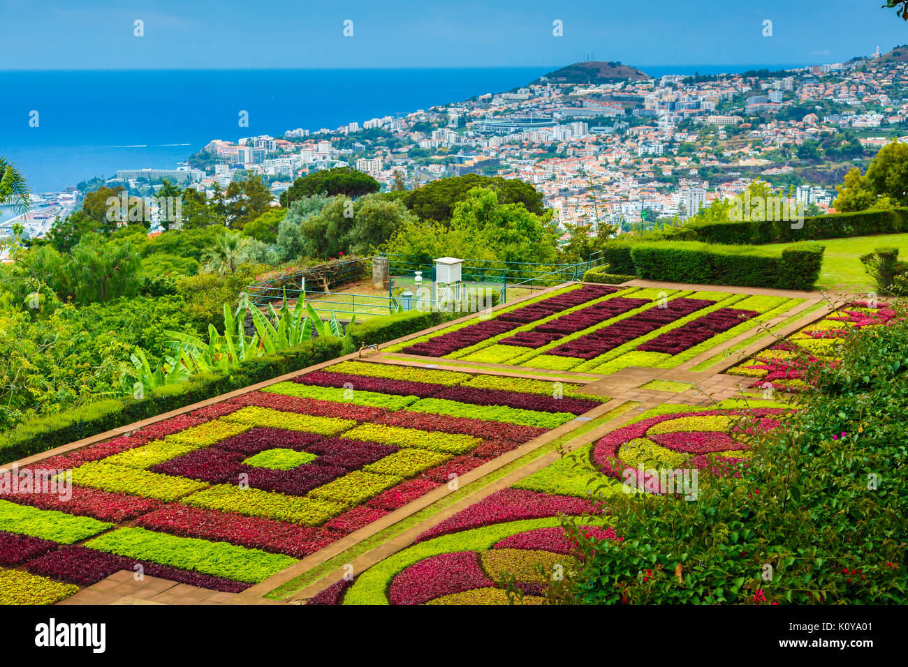 Madeira Botanical Gardens Stock Photo - Alamy