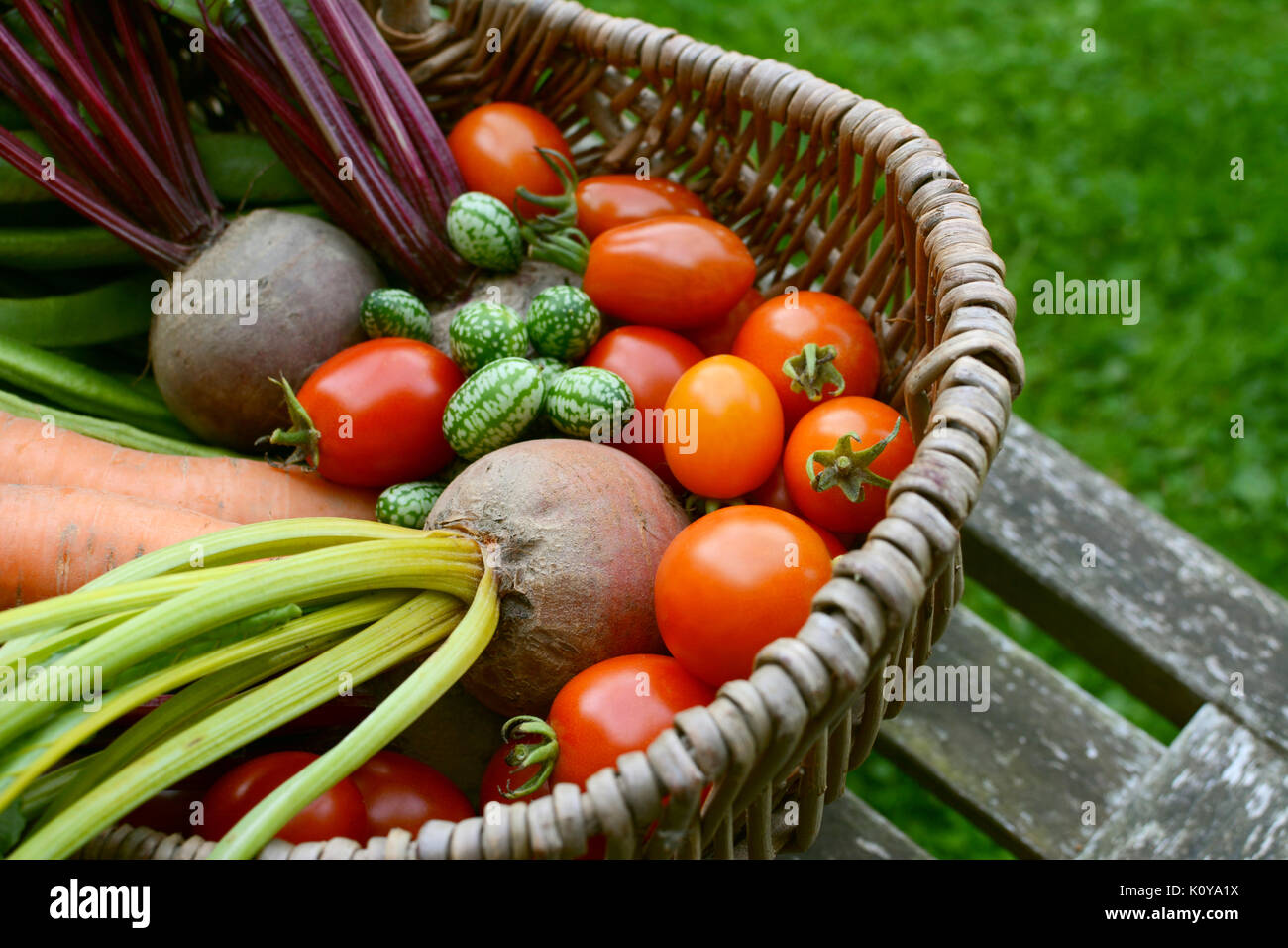 Close-up of beetroot and tomatoes with cucamelons and carrots in a wicker basket on a rustic garden bench Stock Photo