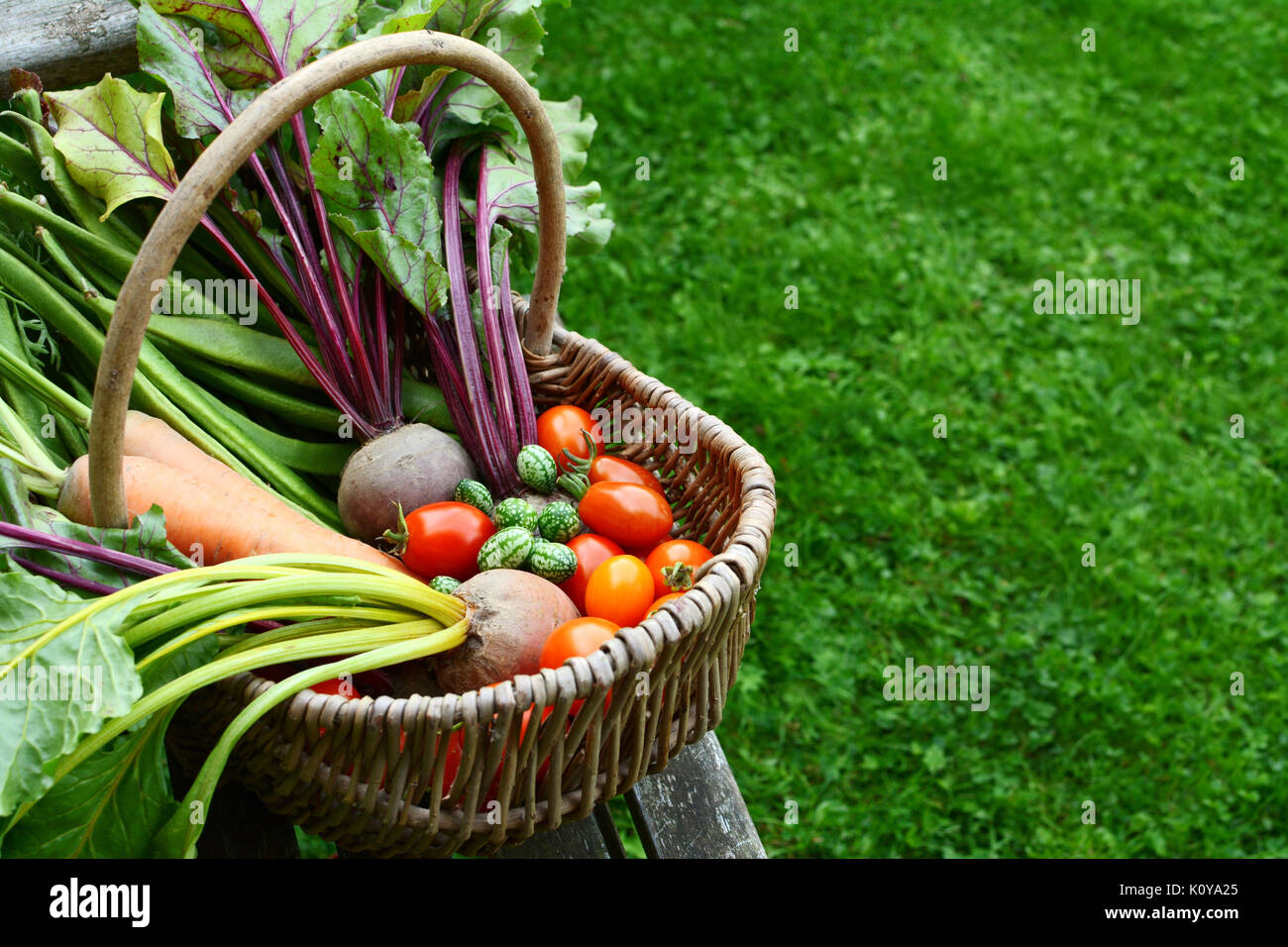 Woven basket filled with freshly harvested vegetables from an allotment sits on a wooden garden bench; copy space on grass Stock Photo