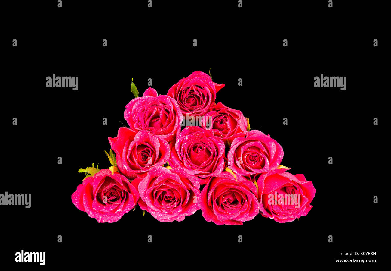 Pink Roses Stacked A pyramid of pink rose heads all stacked up and isolated on black back ...