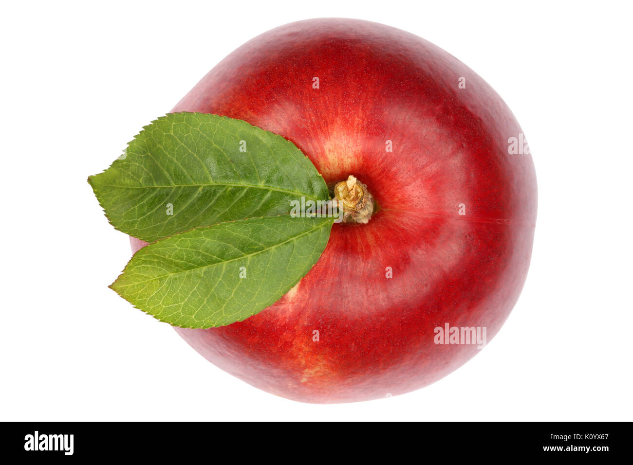 Nectarine fruit top view from above isolated on a white background Stock Photo