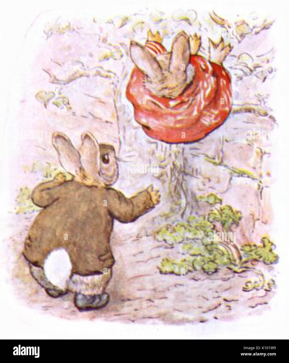 Tale of peter rabbit and benjamin bunny hi-res stock photography and ...