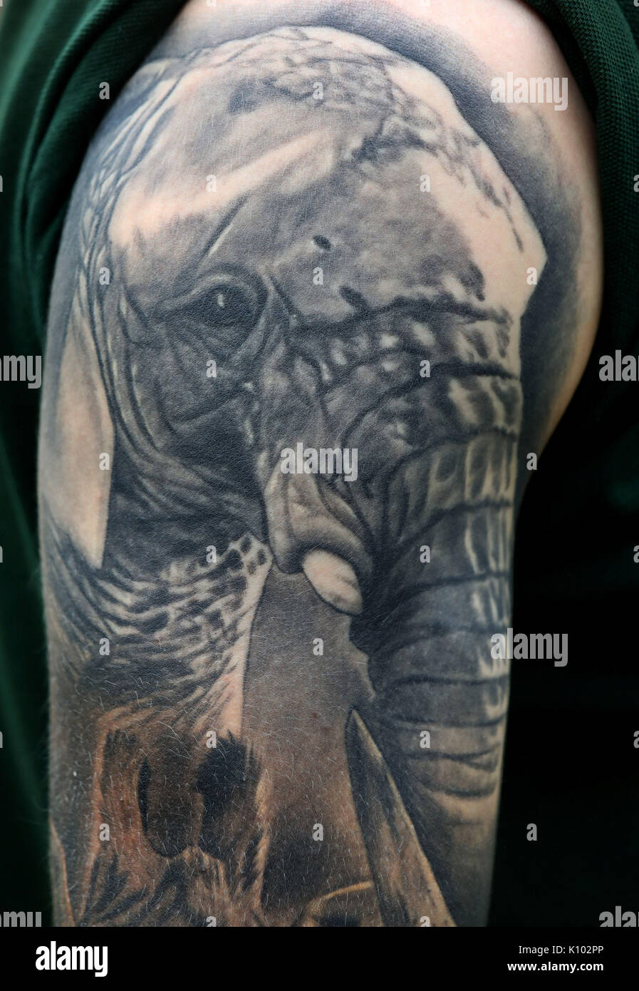 Top more than 76 two elephants tattoo best  thtantai2