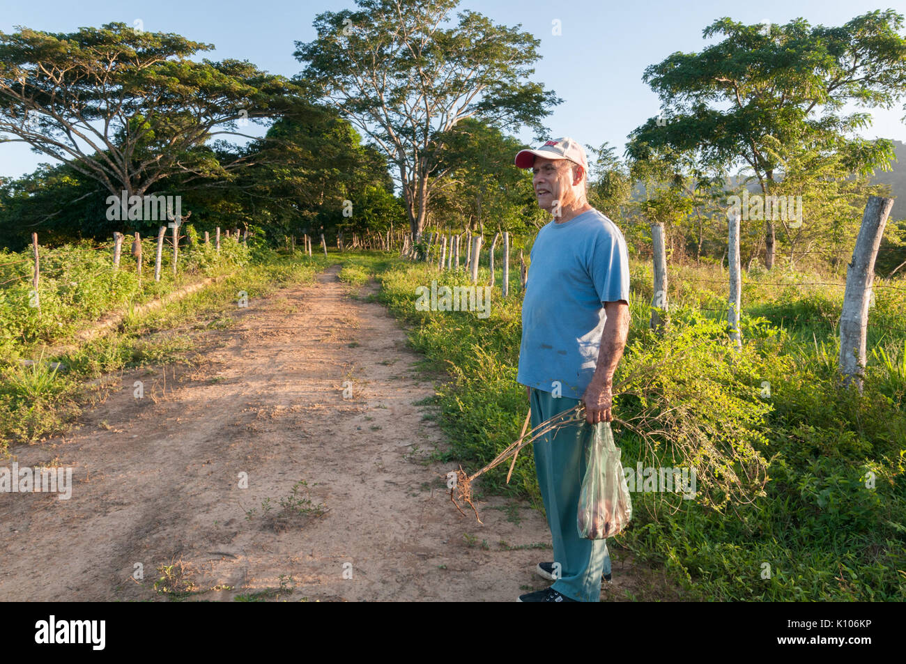 Agricultor de Chaguaramal, Estado Miranda, Venezuela Stock Photo