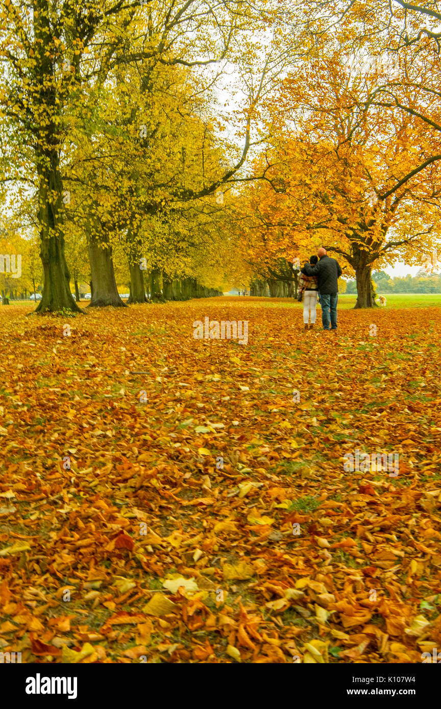 Couple Having An Automn Romatic Walk Stock Photo Alamy