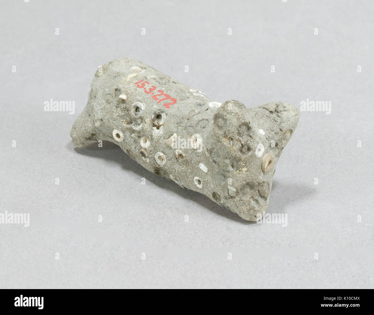 Study Tree Images Historic animal anatomy studies hi-res stock photography and images - Alamy