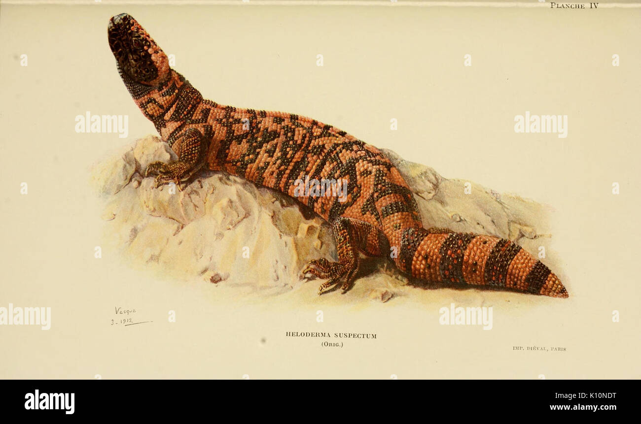 Animaux venimeux et venins la fonction venimeuse chez tous les animaux