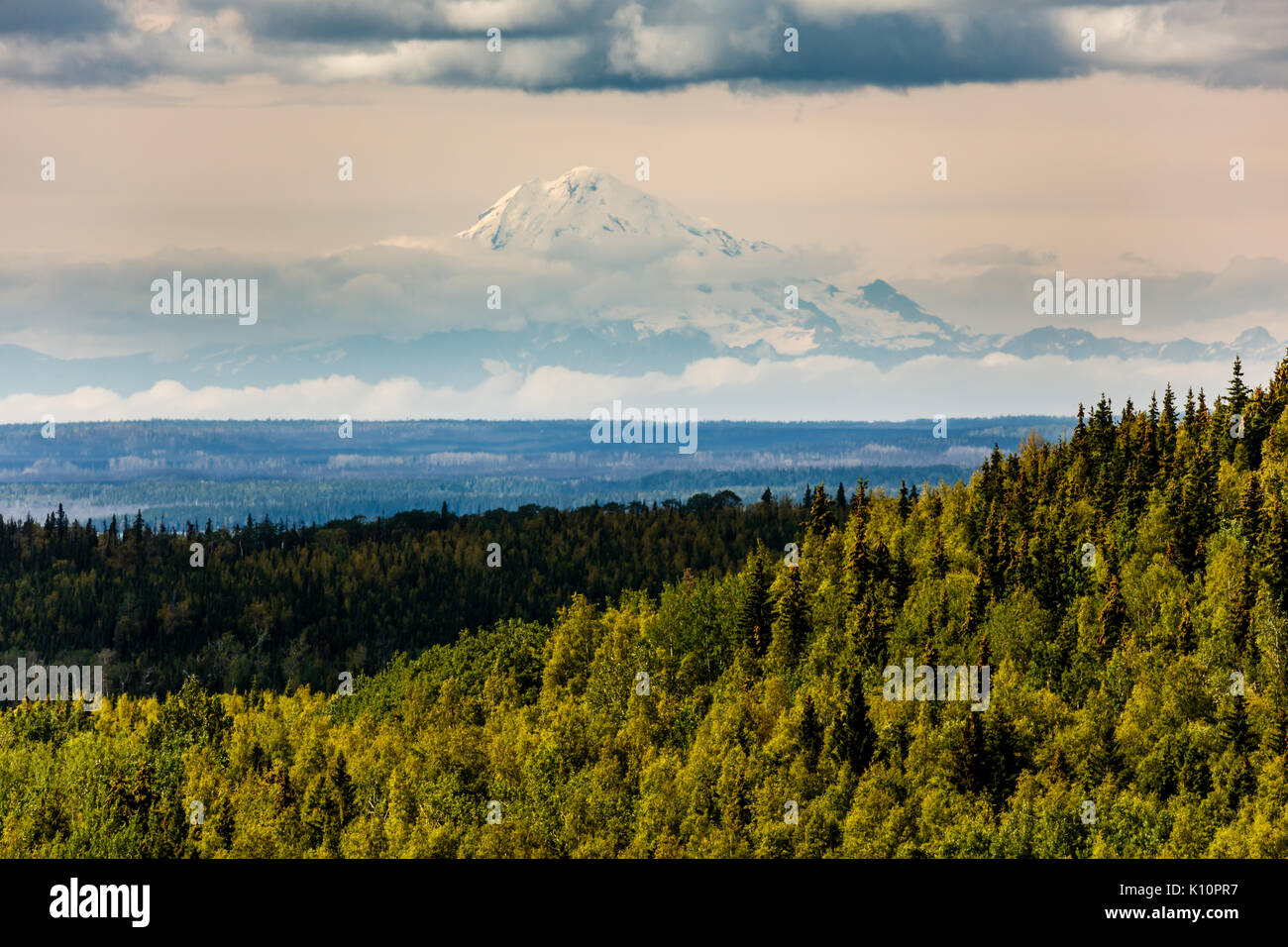 Forest and snow capped volcano in the distance Stock Photo