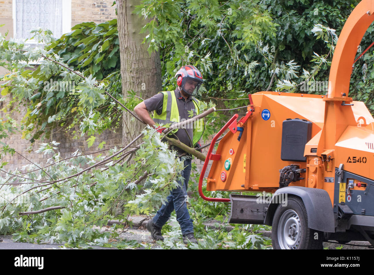 London, Lewisham Cutting down overhanging branches in a busy road in