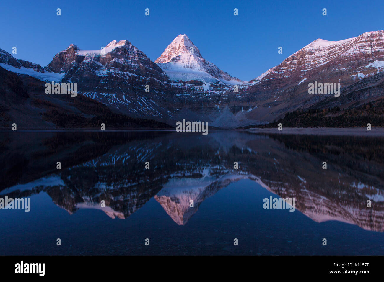 A star-filled sky over Mount Assiniboine reflected in Lake Magon, Mount Assiniboine Provincial Park, British Columbia, Canada. Stock Photo