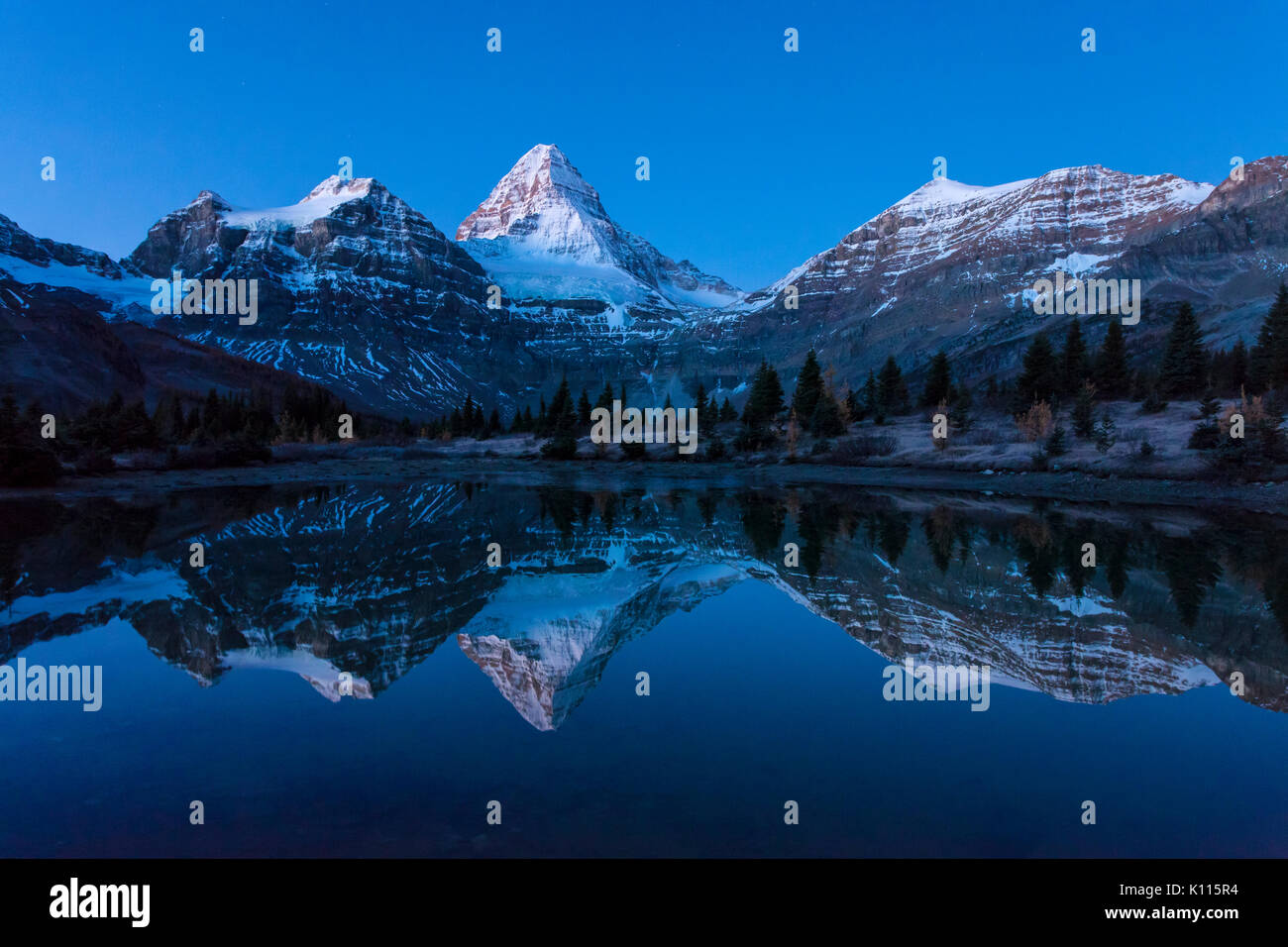 Mount Assiniboine and a star-filled sky reflected in a tarn near Lake Magog, Mount Assiniboine Provincial Park, Rocky Mountains, British Columbia, Can Stock Photo