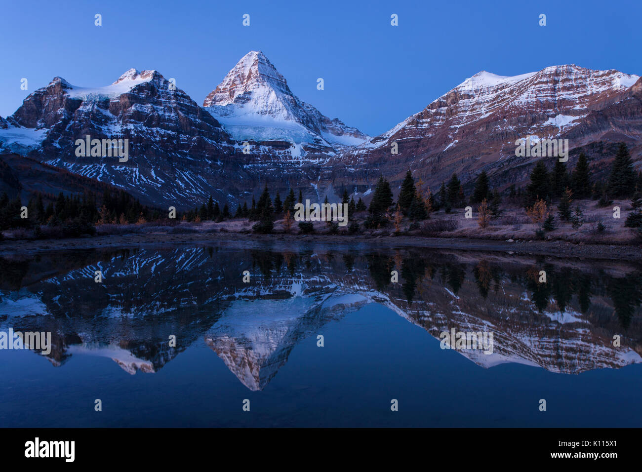 Mount Assiniboine reflected in a tarn near Lage Magog before sunrise, Mount Assiniboine Provincial Park, Rocky Mountains, British Columbia, Canada. Stock Photo