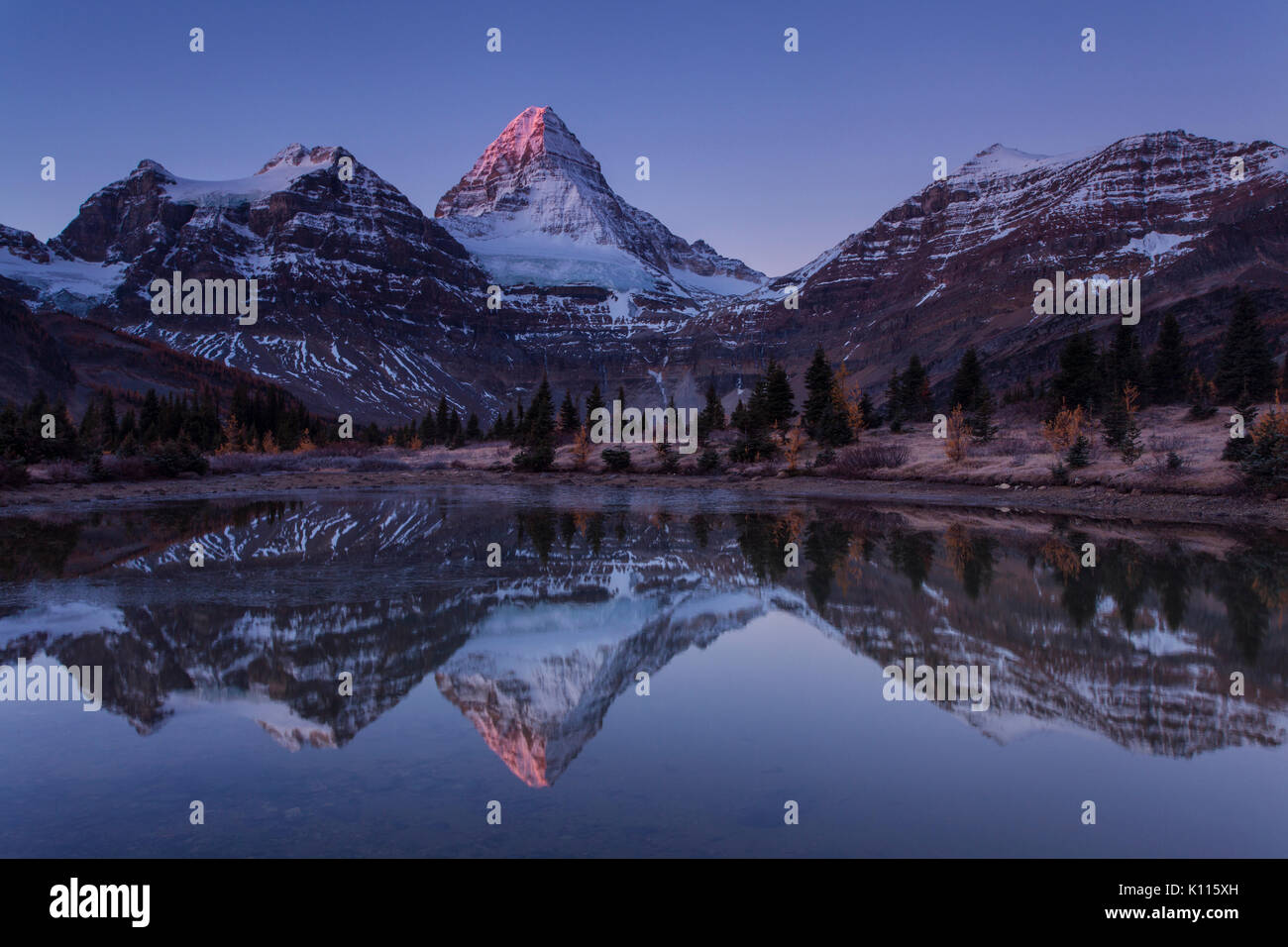 Early light on Mount Assiniboine reflected in a tarn near Lage Magog before sunrise, Mount Assiniboine Provincial Park, Rocky Mountains, British Colum Stock Photo