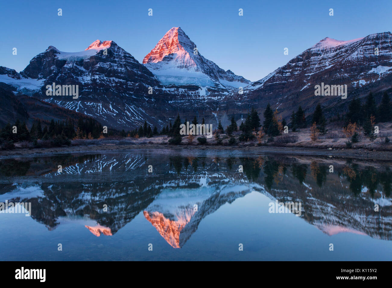 Mount Assiniboine reflected in Lage Magog at sunrise, Mount Assiniboine Provincial Park, Rocky Mountains, British Columbia, Canada. Stock Photo