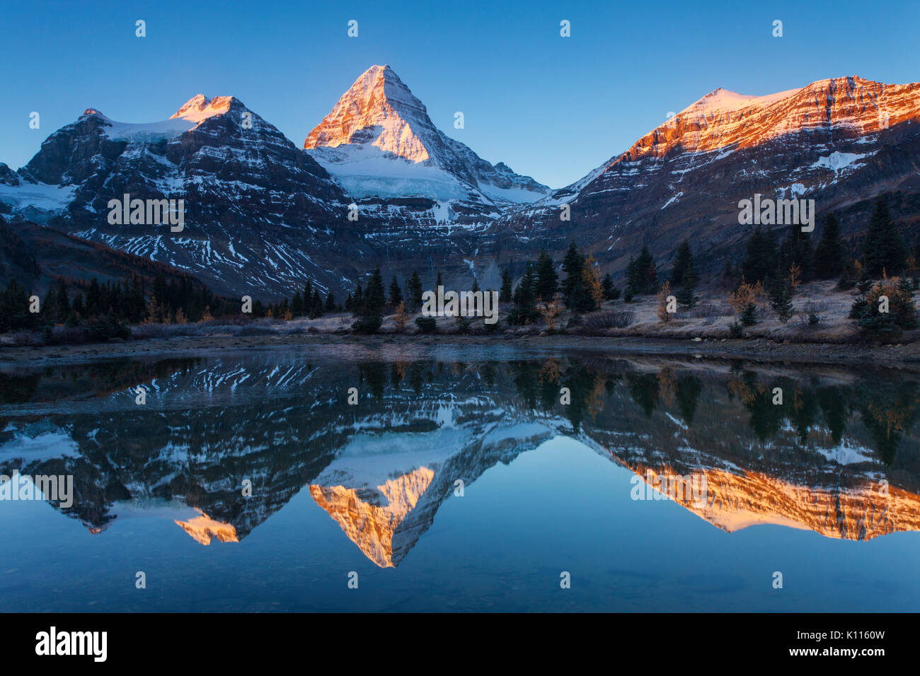 Mount Assiniboine reflected in Lage Magog in early morning, Mount Assiniboine Provincial Park, Rocky Mountains, British Columbia, Canada. Stock Photo