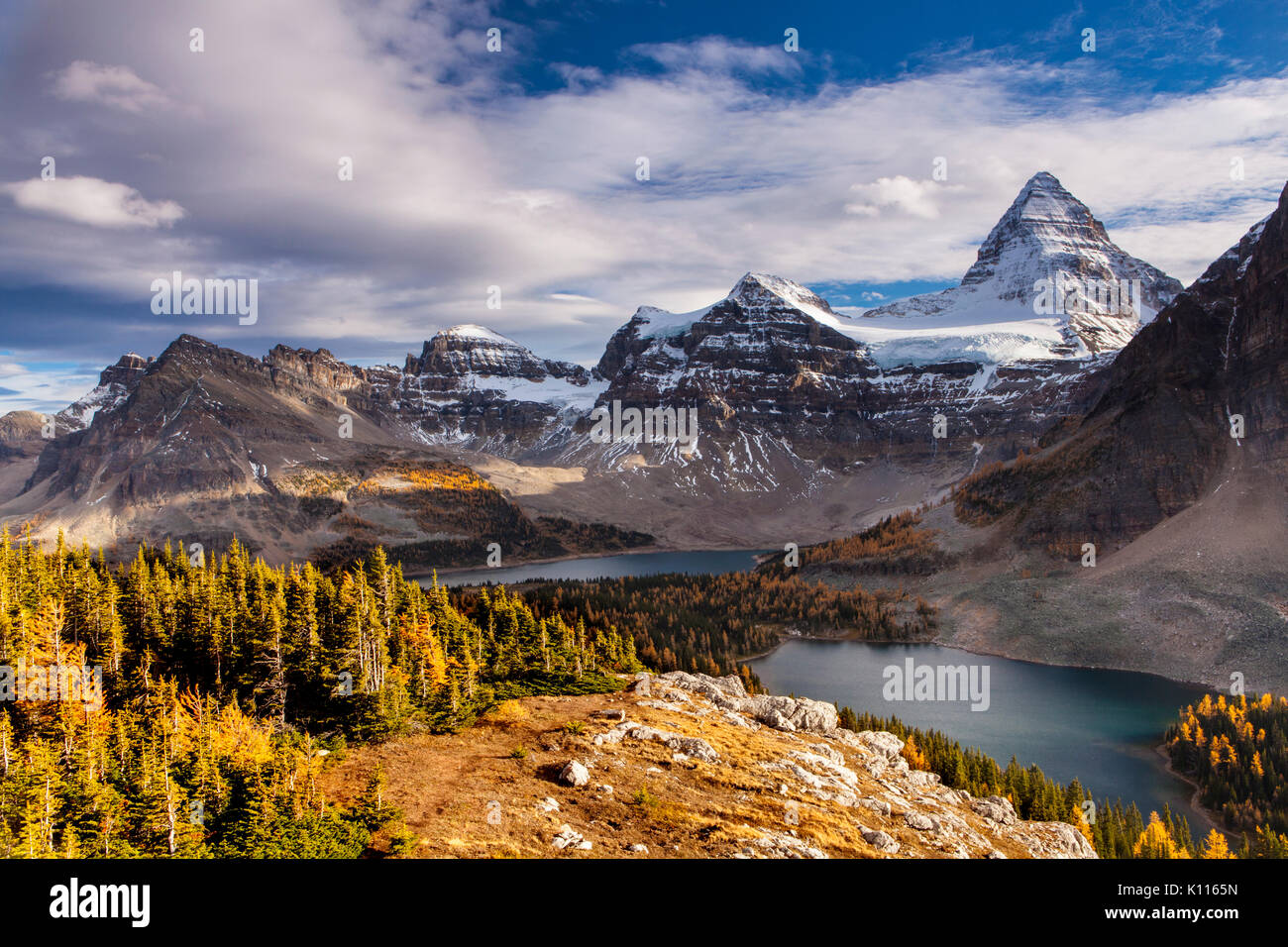 Mount Assiniboine aboe Lake Magog and Lake Cerrulean amidst fall larches, Mount Assiniboine Provincial Park, Rocky Mountains, British Columbia, Canada Stock Photo