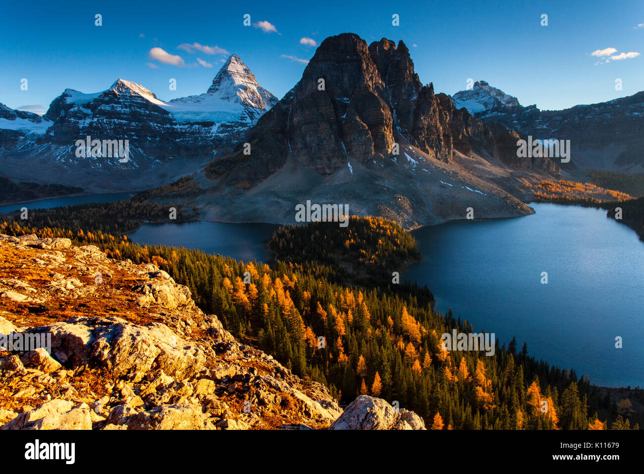 Mount Assiniboine aboe Lake Mago and Lake Cerrulean amidst fall larches, Mount Assiniboine Provincial Park, Rocky Mountains, British Columbia, Canada. Stock Photo