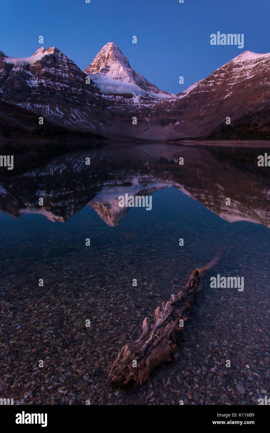 Mount Assiniboine reflected in Lage Magog before sunrise, Mount Assiniboine Provincial Park, Rocky Mountains, British Columbia, Canada. Stock Photo