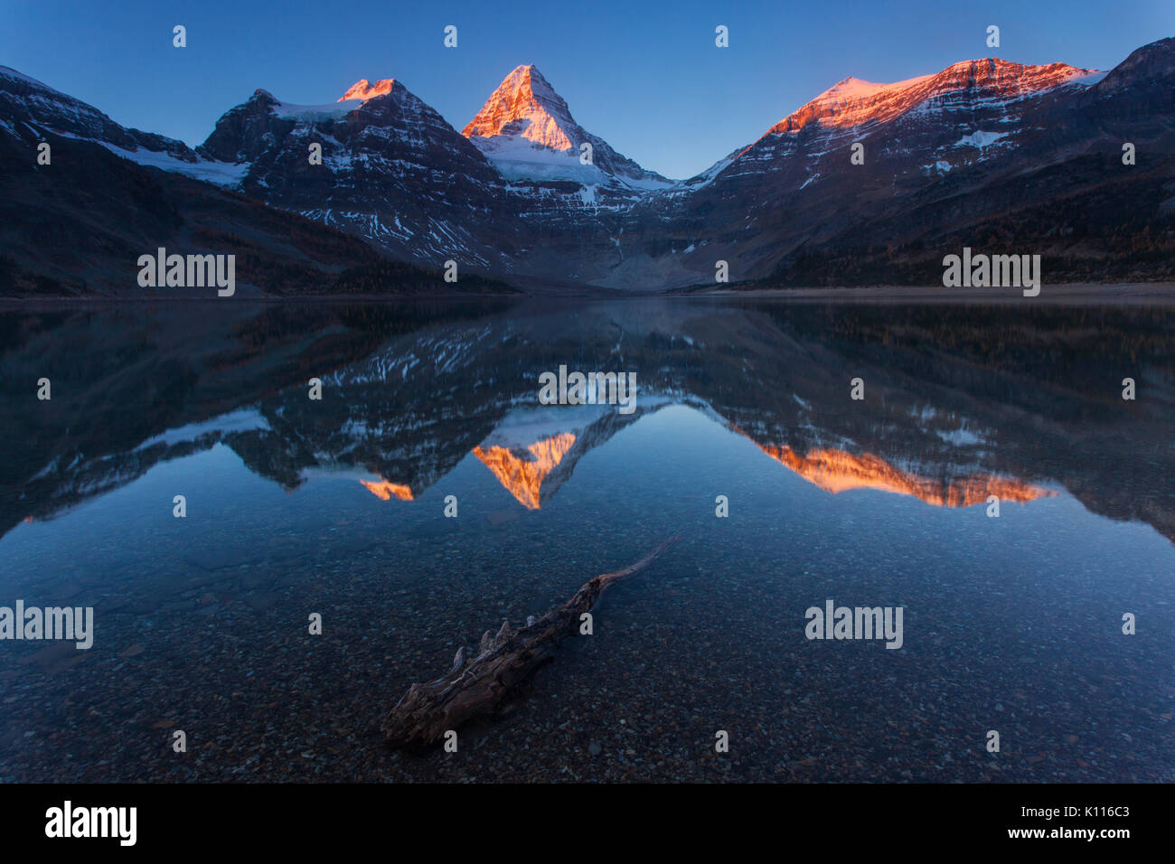 Mount Assiniboine reflected in Lage Magog at sunrise, Mount Assiniboine Provincial Park, Rocky Mountains, British Columbia, Canada. Stock Photo