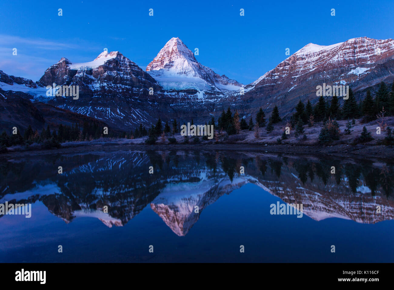 Mount Assiniboine reflected in a tarn near Lage Magog under the stars, Mount Assiniboine Provincial Park, Rocky Mountains, British Columbia, Canada. Stock Photo
