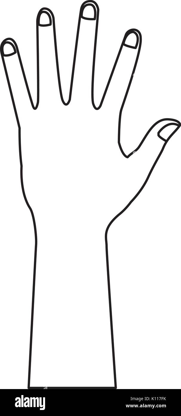 Hand And Arm Template