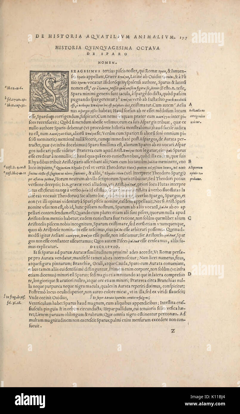 Aquatilium animalium historiae, liber primus (Page 177) BHL44715975 Stock Photo
