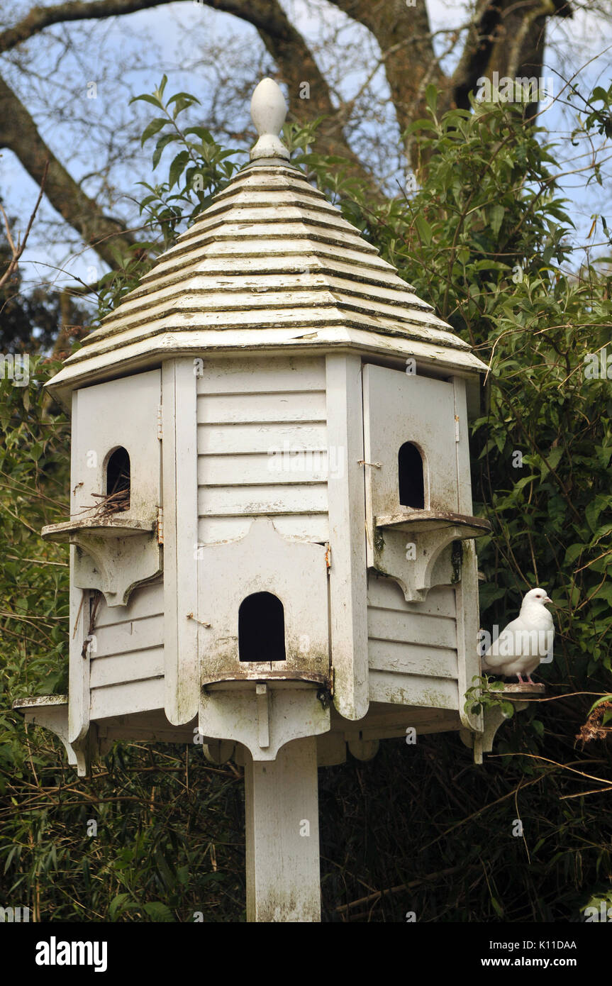 a dovecote shelter for birds in the garden nesting sites for doves and