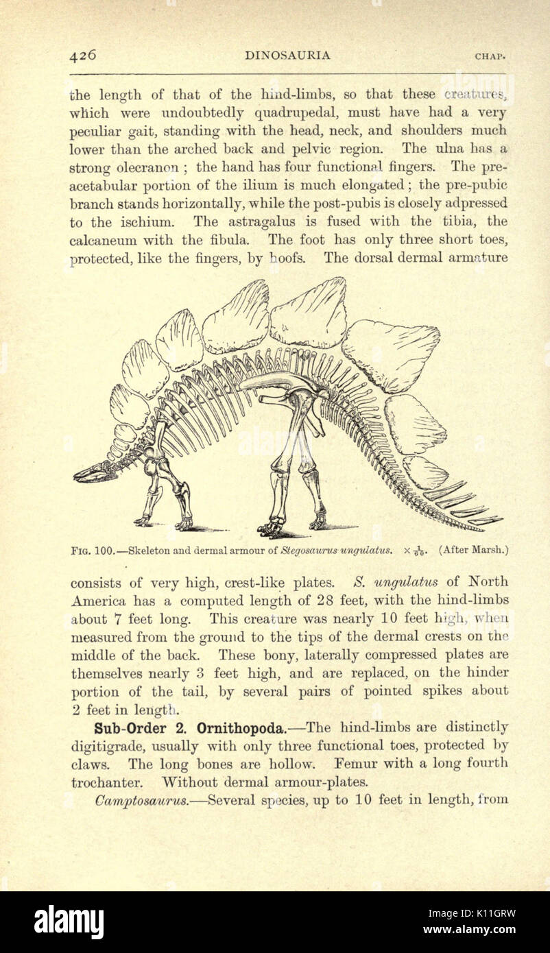 Amphibia and reptiles (Page 426, Fig. 100) BHL23288497 Stock Photo