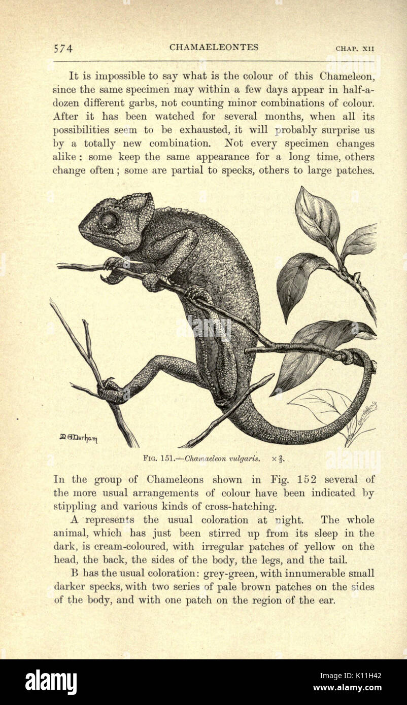 Amphibian mapping hi-res stock photography and images - Alamy