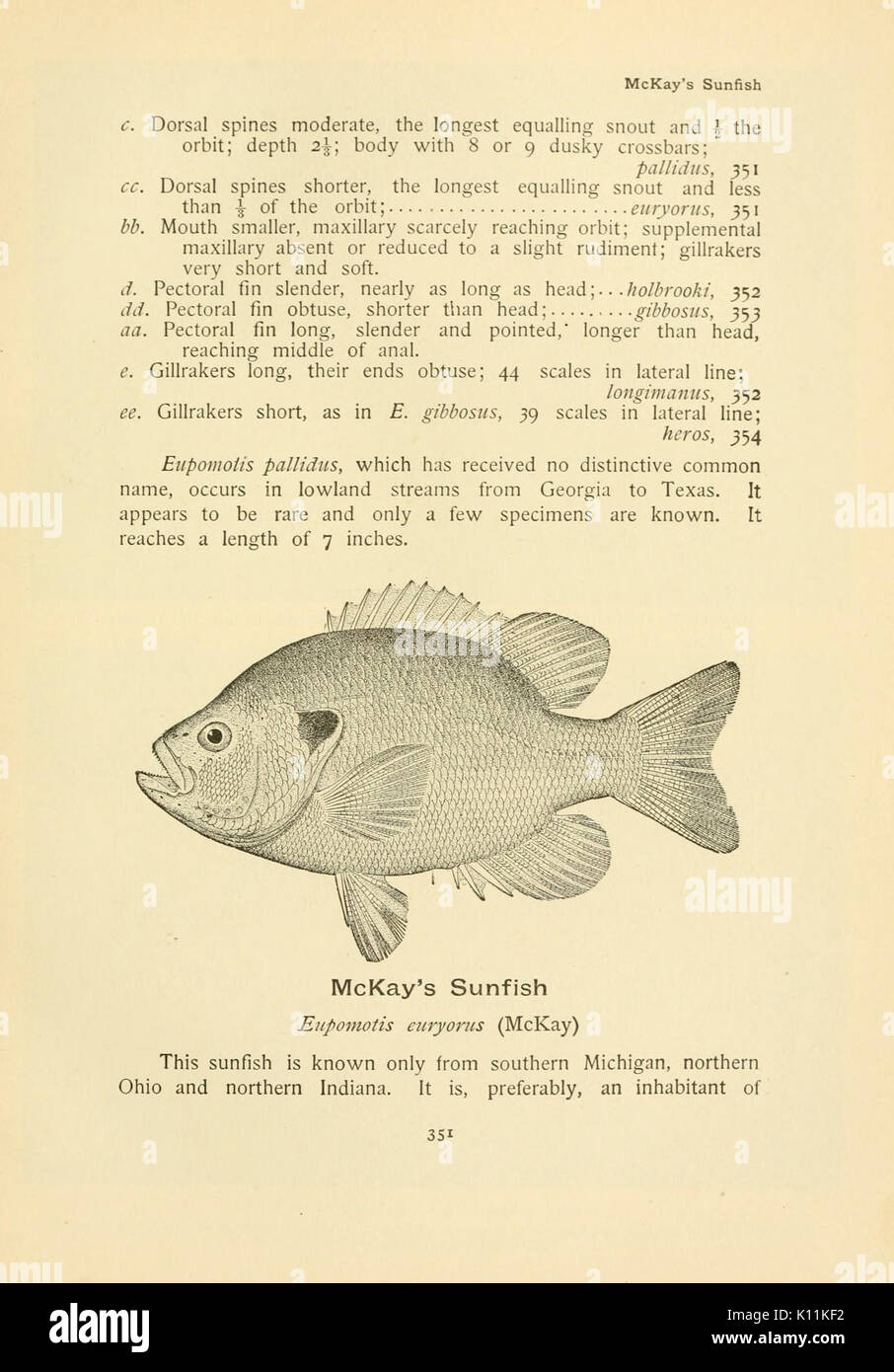 Native Food Fish Native american food source hi-res stock photography and images - Alamy