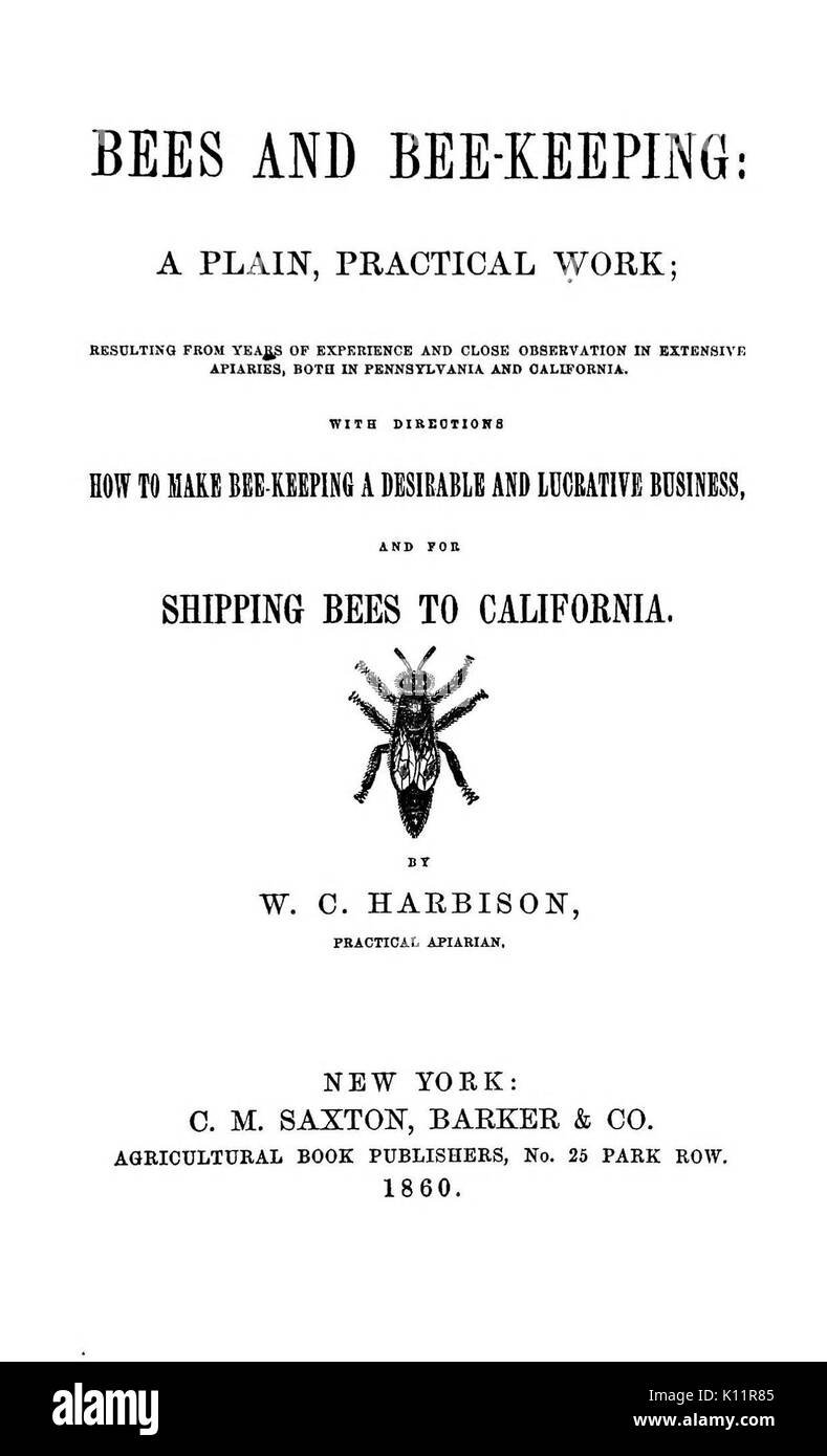 Bees and bee keeping  a plain, practical work BHL38293618 Stock Photo