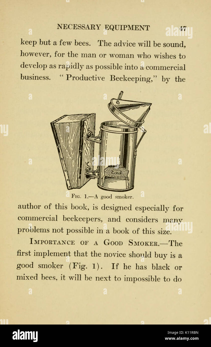 Beginner's bee book (Page 47) BHL18265282 Stock Photo