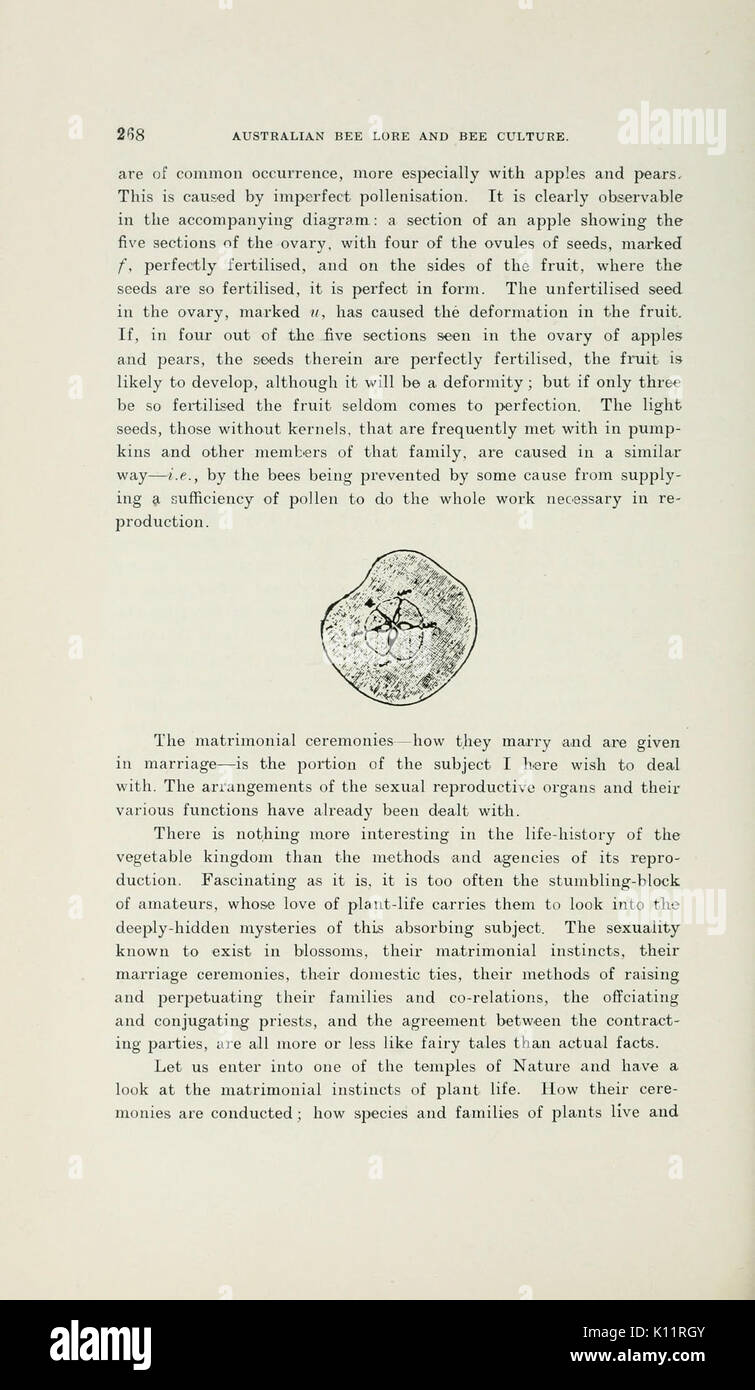 This section of 'Australian Bee Lore and Bee Culture' provides an in ...