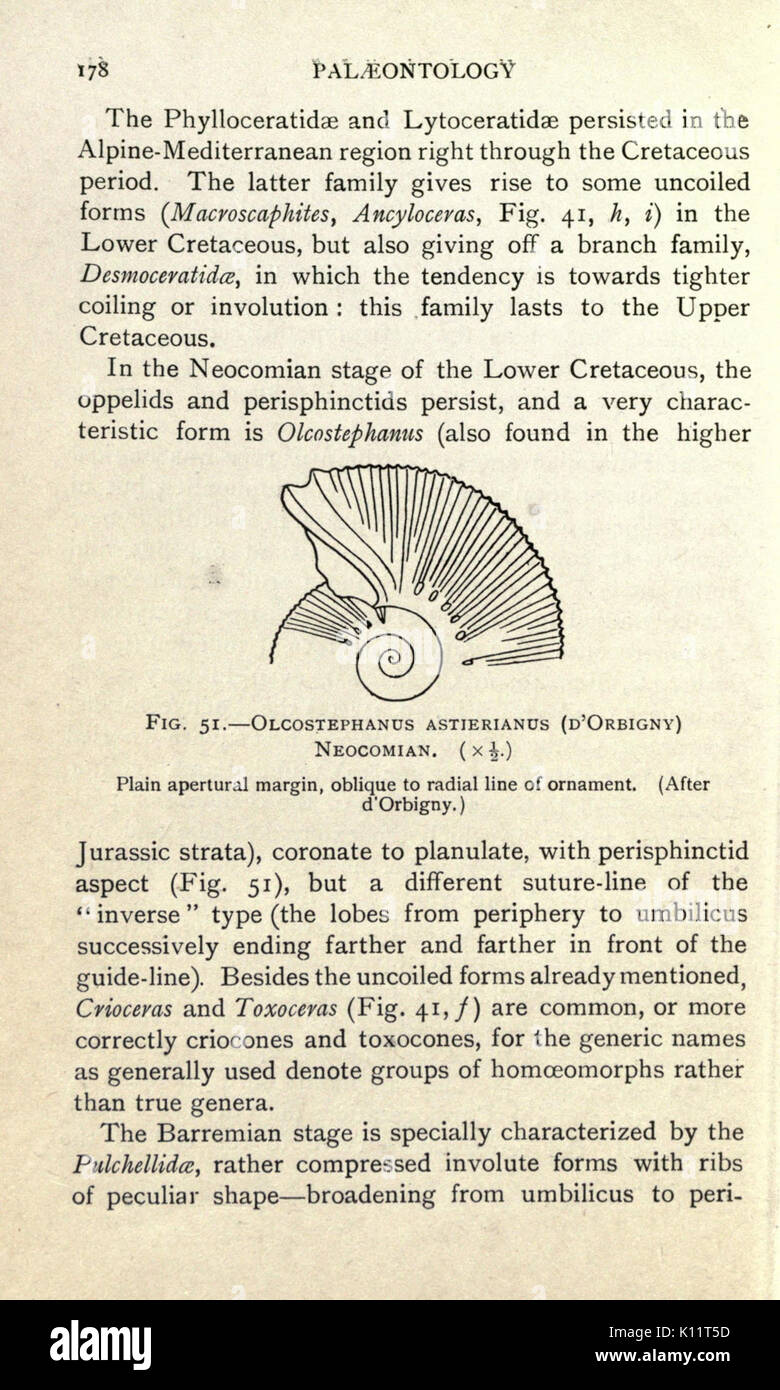 An introduction to palaeontology (Page 178) BHL24114745 Stock Photo