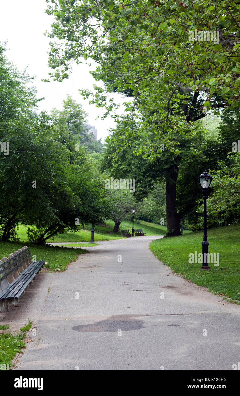 Central Park in New York USA Stock Photo Alamy