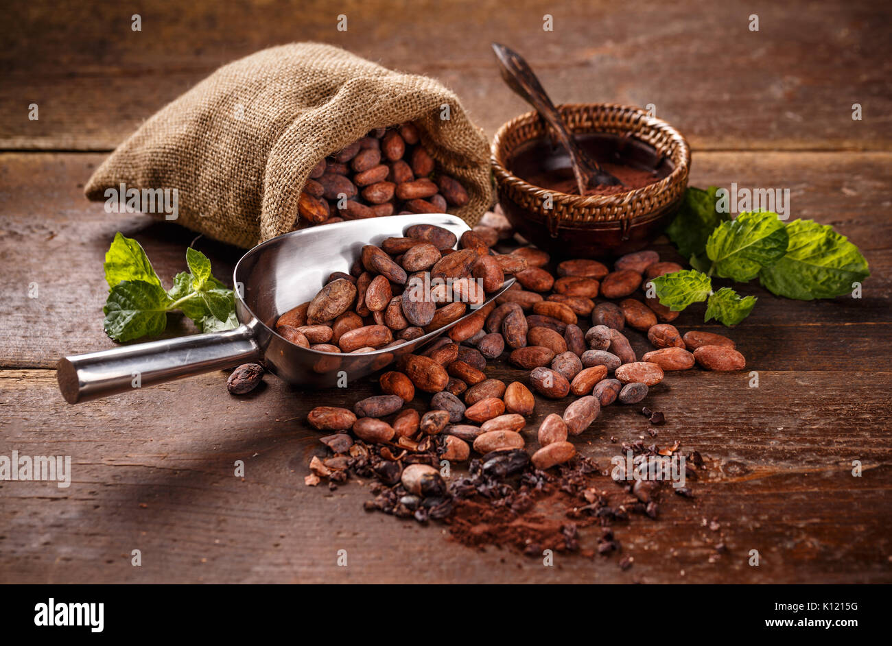 Cocoa concept with raw, peeled, and crushed Theobroma cacao cocoa beans