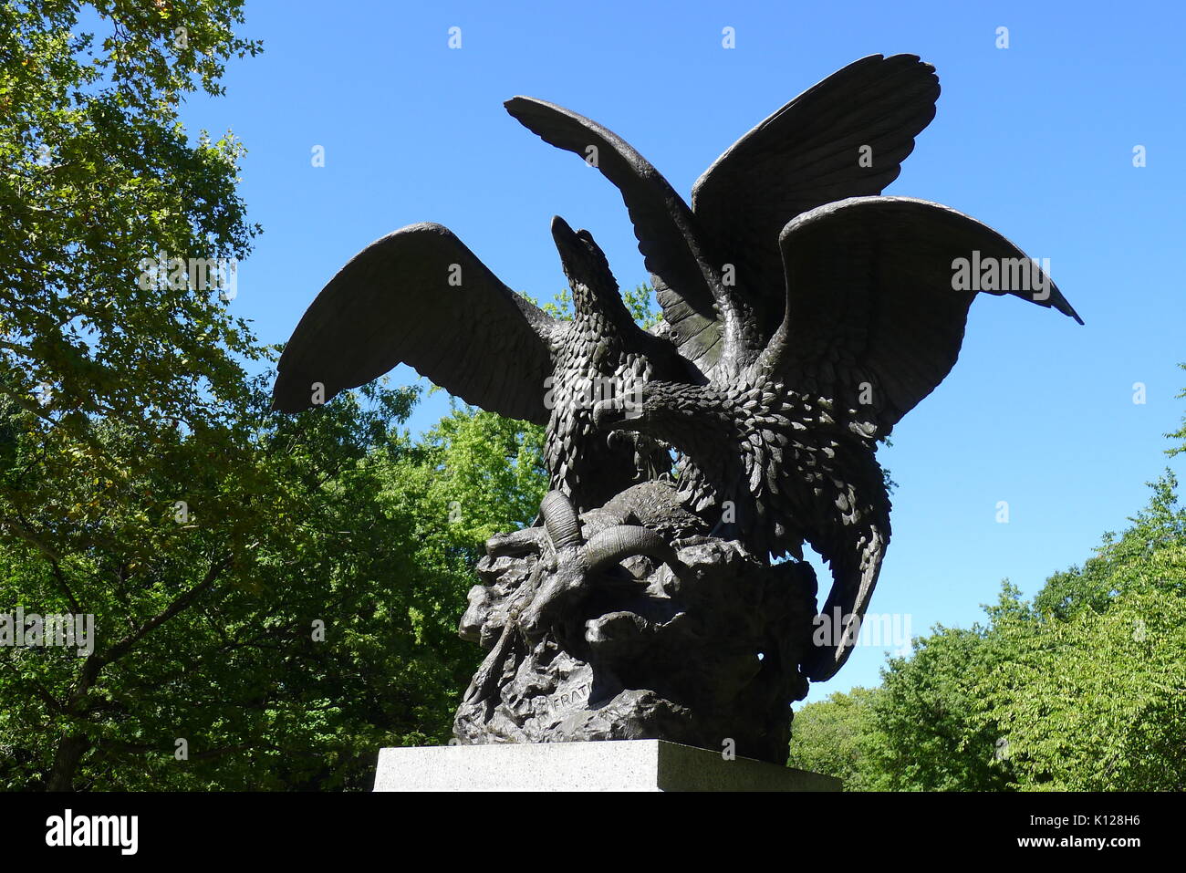 Eagles and Prey in NY Central Park Stock Photo Alamy