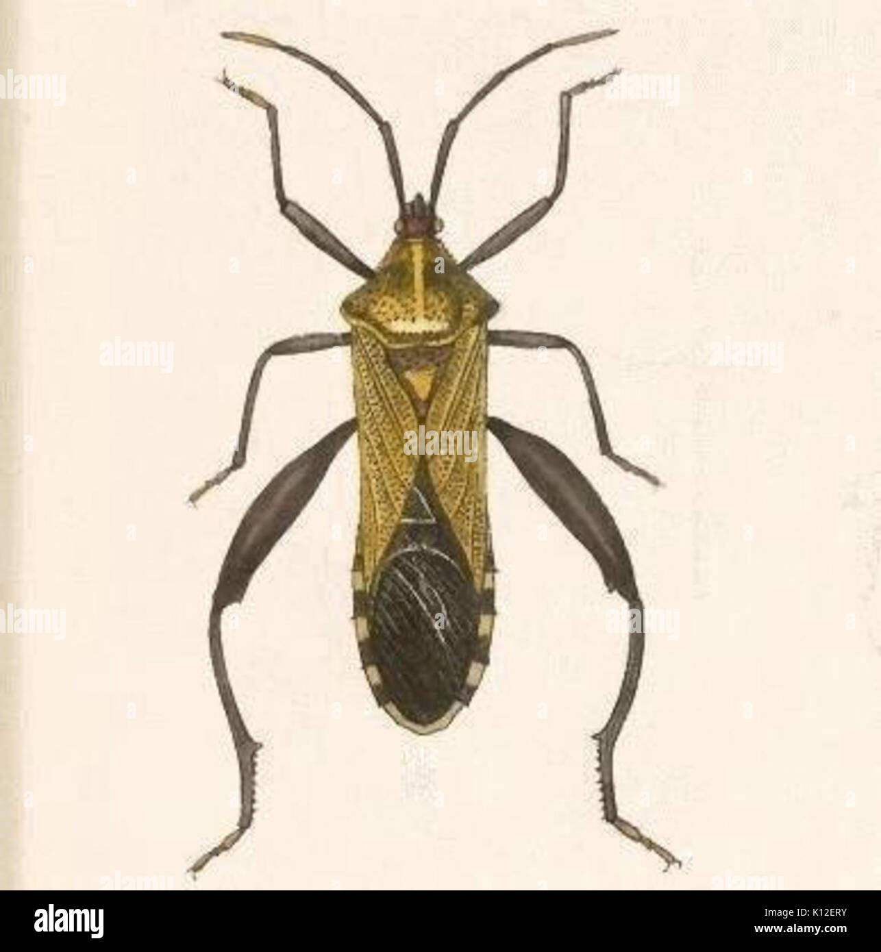 Capaneus hi-res stock photography and images - Alamy