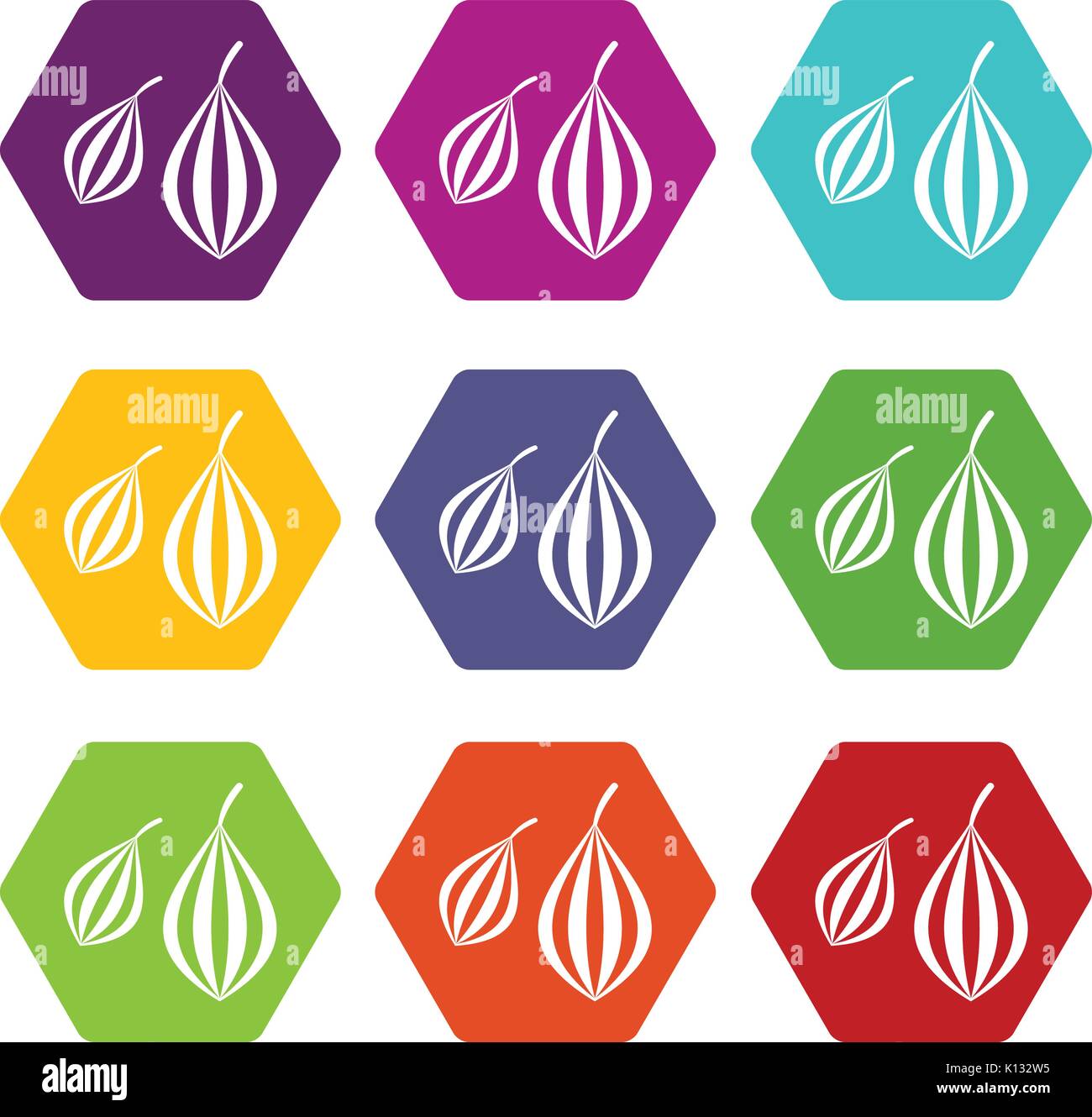 Trachyspermum ammi icon set color hexahedron Stock Vector