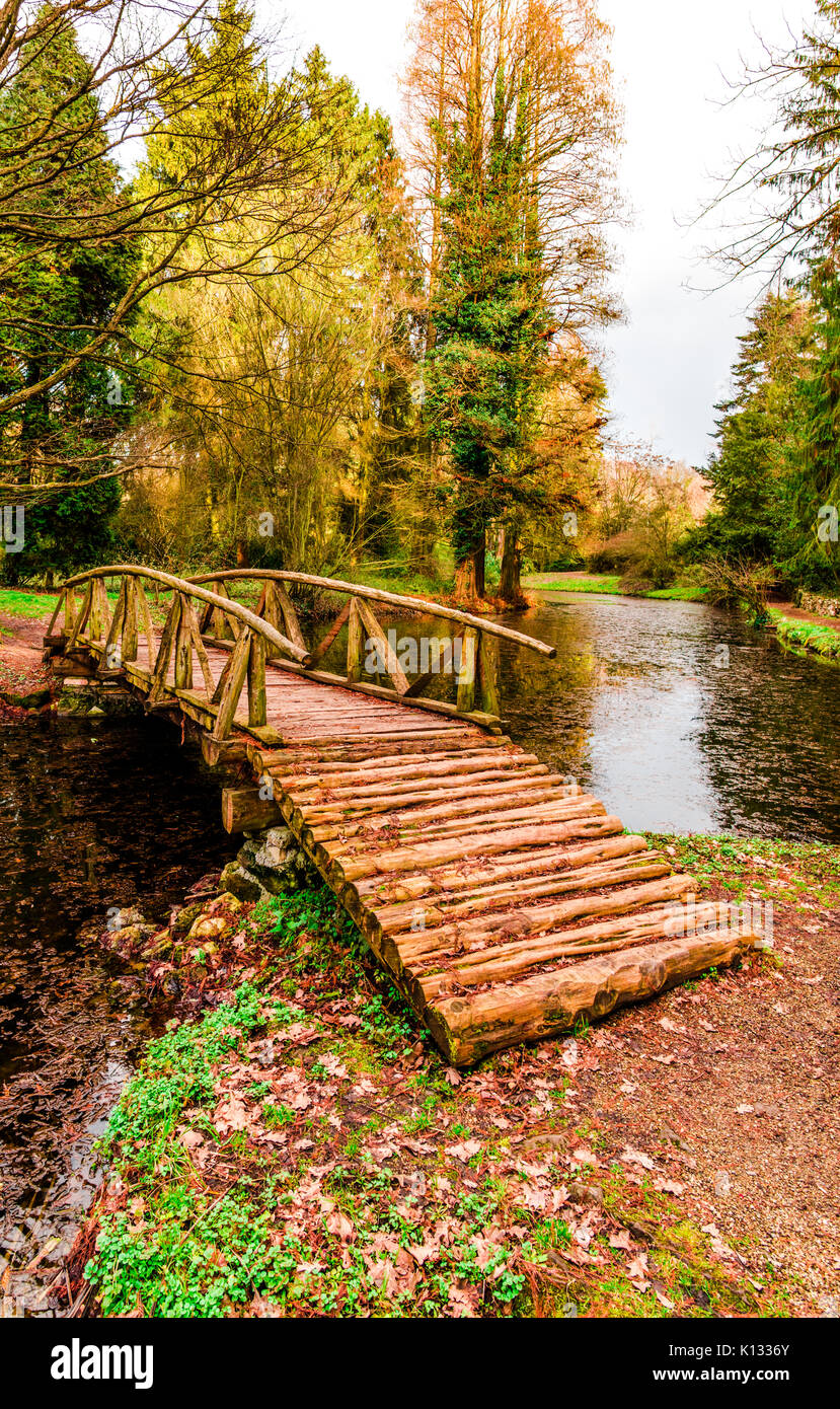 Tree bridge fresh water hi-res stock photography and images - Alamy