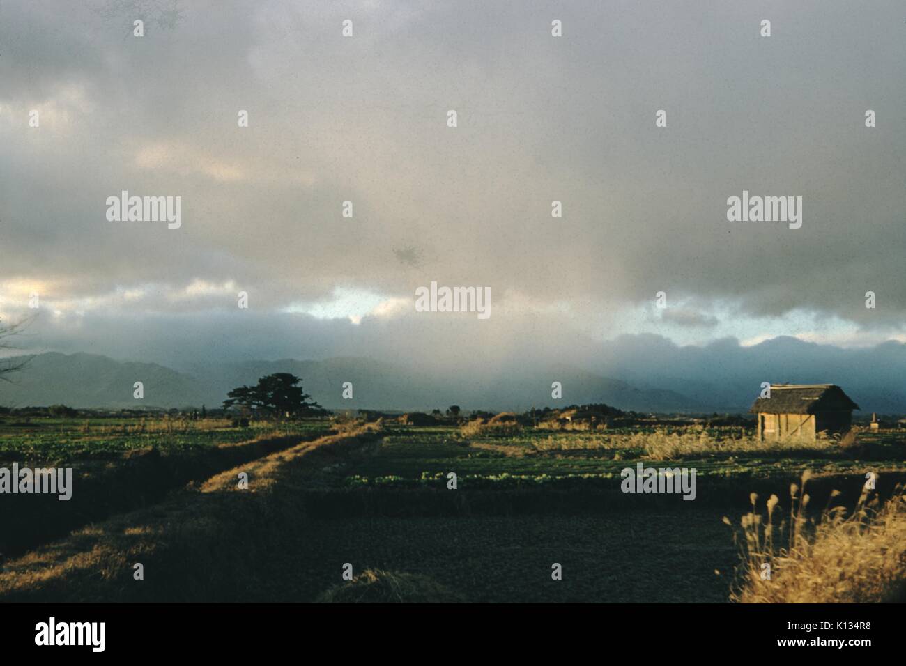Farm field and small outbuildings next to a dirt road, lit by the setting sun, Japan, 1951. Stock Photo