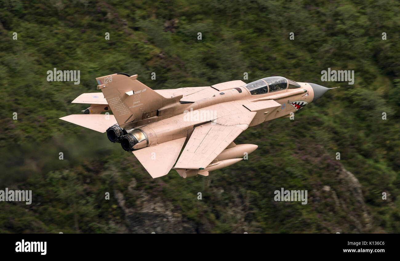 RAF Tornado GR4 on a low level flying sortie in the Mach Loop LFA7 in Operation Granby colour scheme. Hence the aircraft identified as 'Pinky'.  Schem Stock Photo