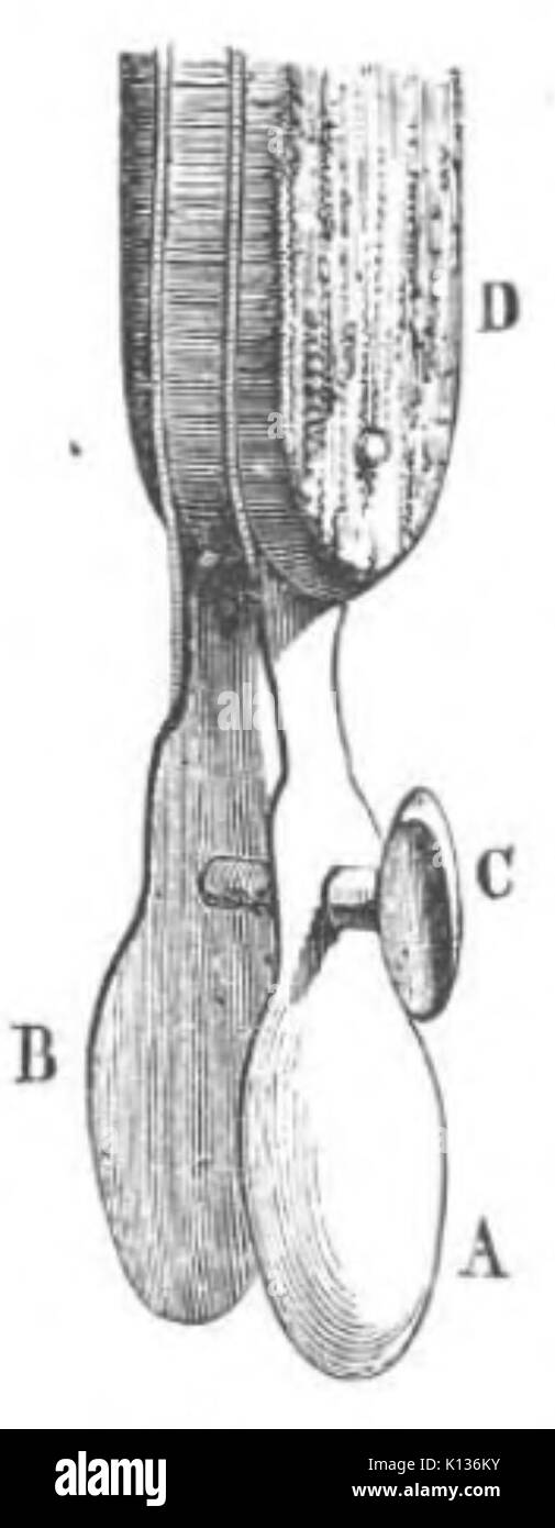 'L'art de greffer' (The Art of Grafting) by Baltet, features an illustration on the technique of plant grafting, which is used to combine parts of different plants to improve growth or produce new varieties. This technique is vital in horticulture and agriculture. Stock Photo