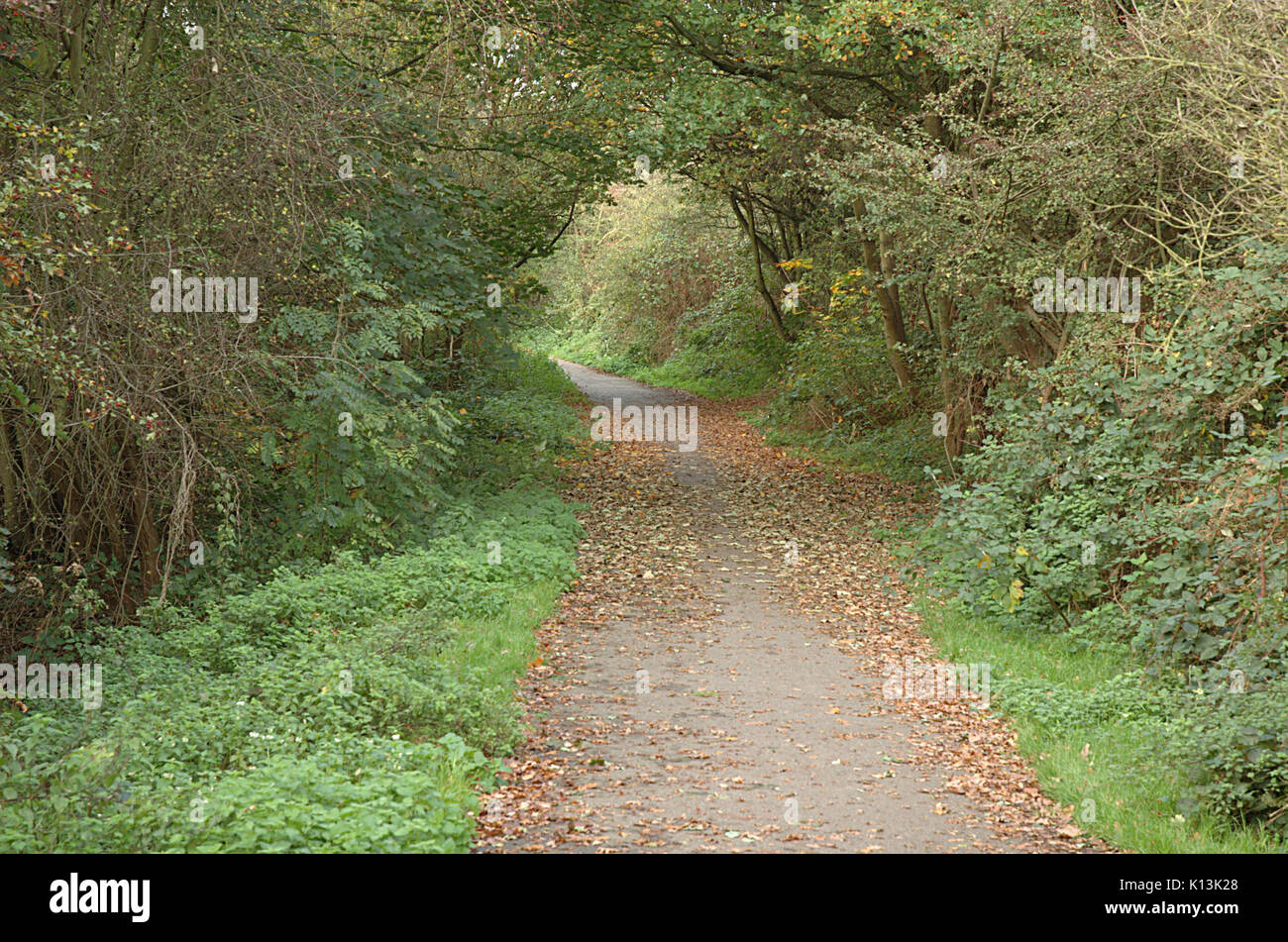 Alban Way Hatfield 20051105 001 Stock Photo Alamy