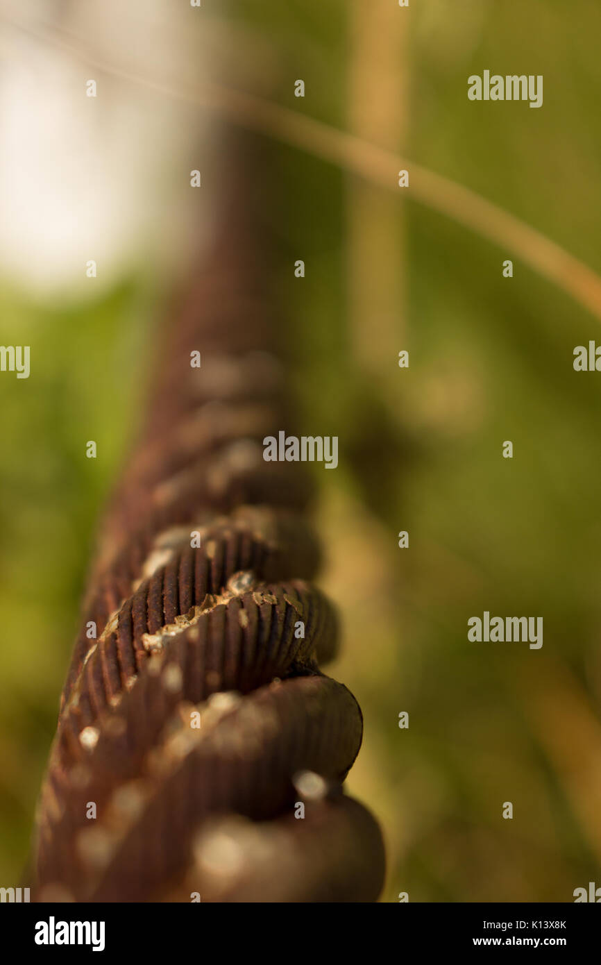 Old rusty cable barrier in tall grass Stock Photo