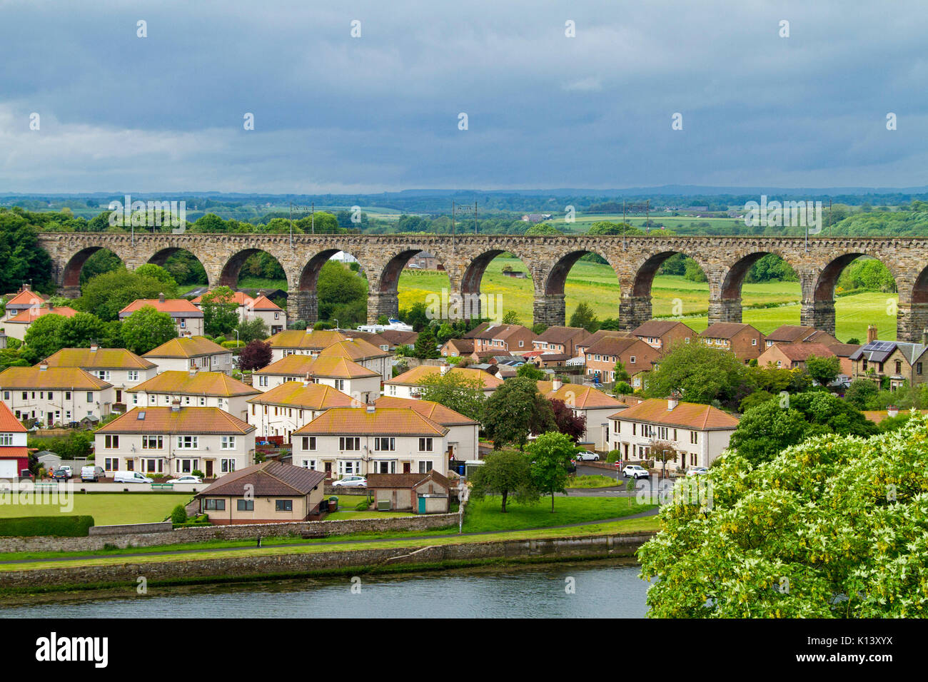 Royal Border Bridge, heritage listed railway viaduct crossing River Tweed at Berwick-upon-Tweed with houses in foreground & emerald fields beyond Stock Photo