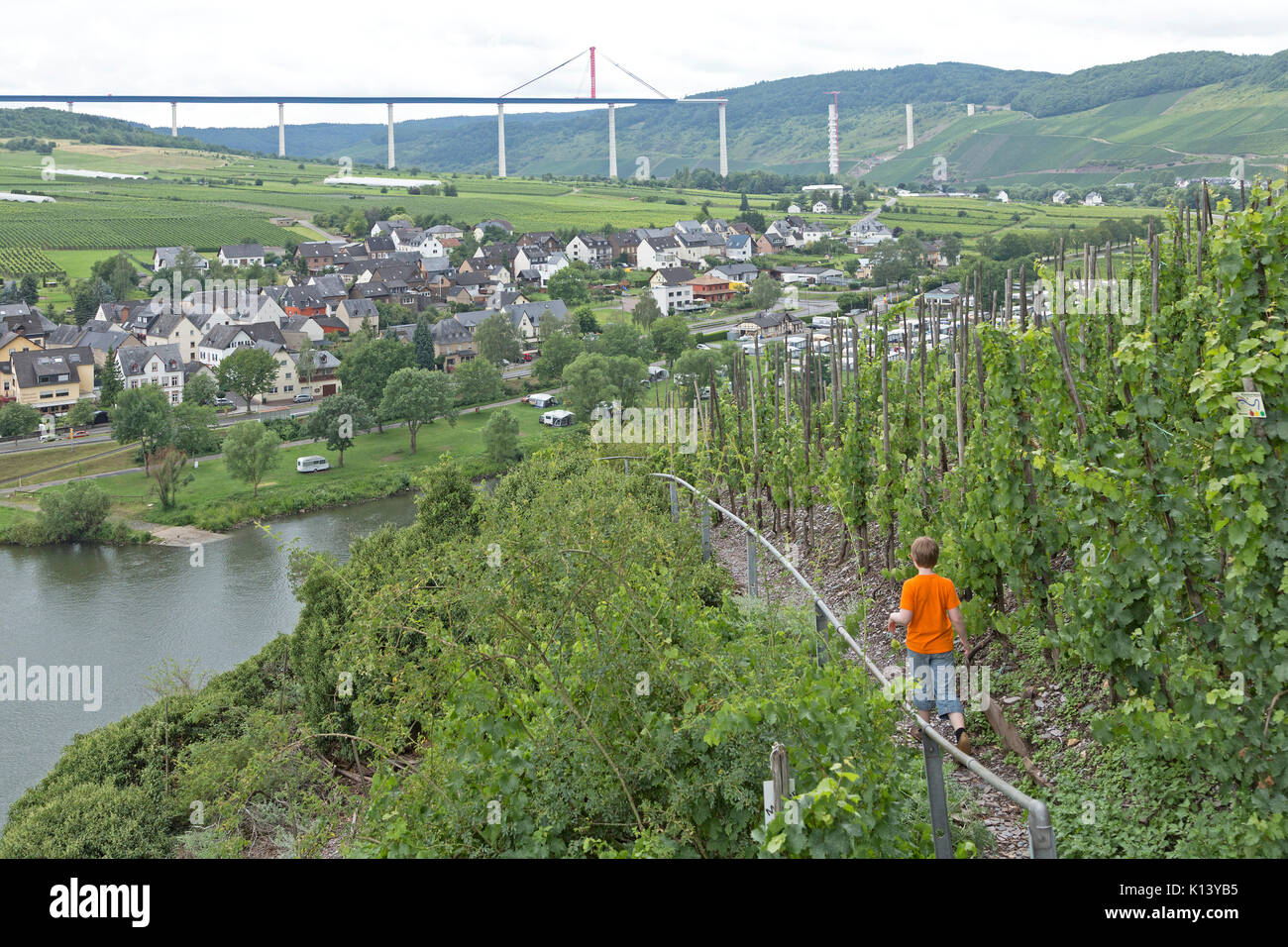 boy on fixed rope route, Uerzig, Moselle, Rhineland-Palatinate, Germany Stock Photo